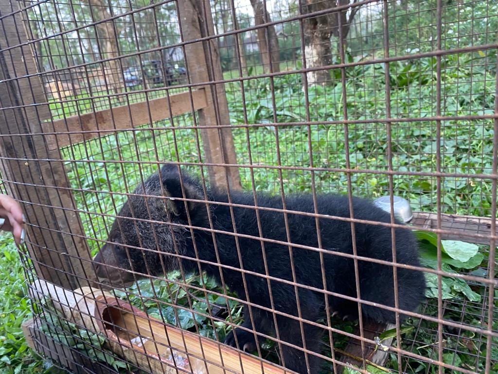 Eastern Sentinel Arunachal News