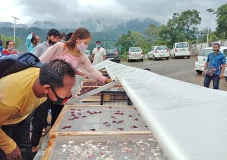 Eastern Sentinel Arunachal News