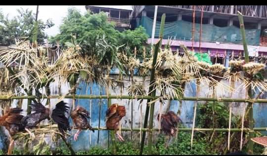 Eastern Sentinel Arunachal News