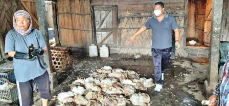 Eastern Sentinel Arunachal News