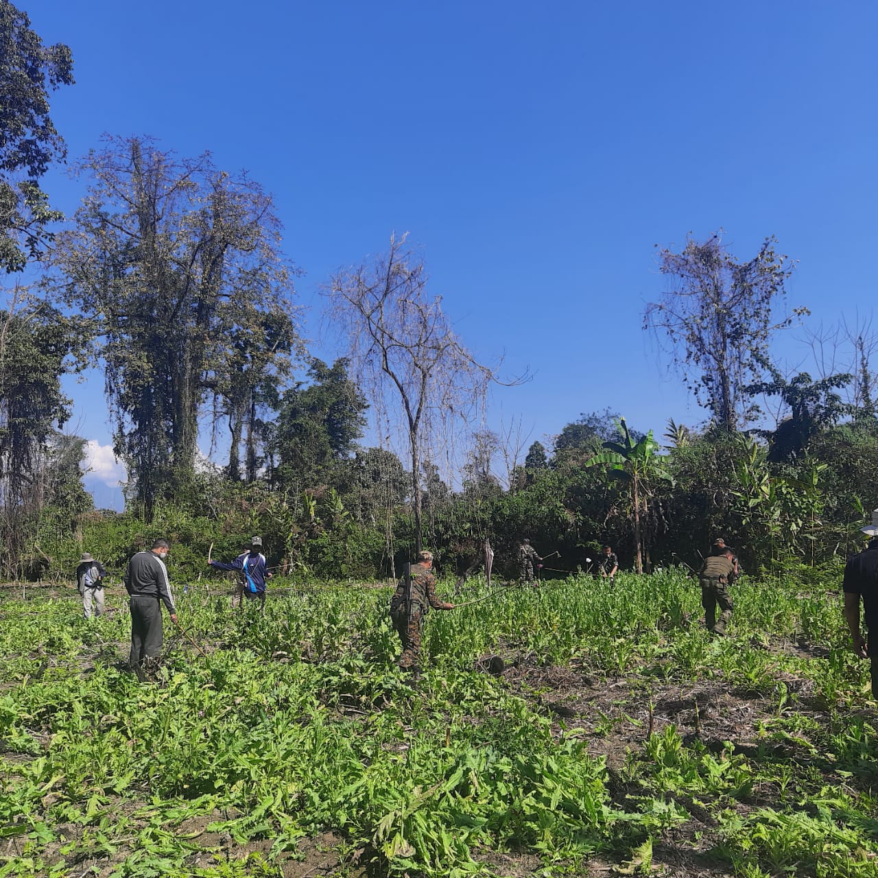 Eastern Sentinel Arunachal News