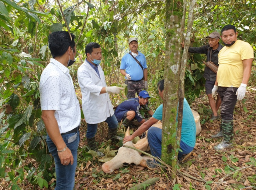 Eastern Sentinel Arunachal News