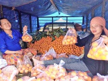 Eastern Sentinel Arunachal News