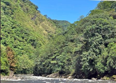 Eastern Sentinel Arunachal News