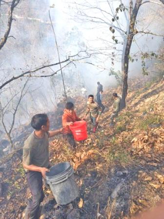 Eastern Sentinel Arunachal News