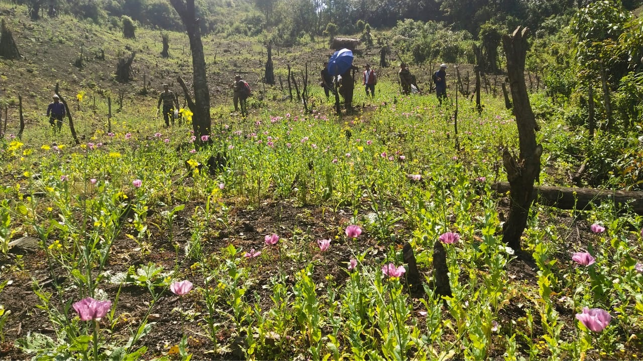 Eastern Sentinel Arunachal News