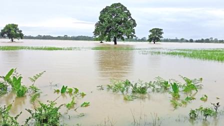 Eastern Sentinel Arunachal News