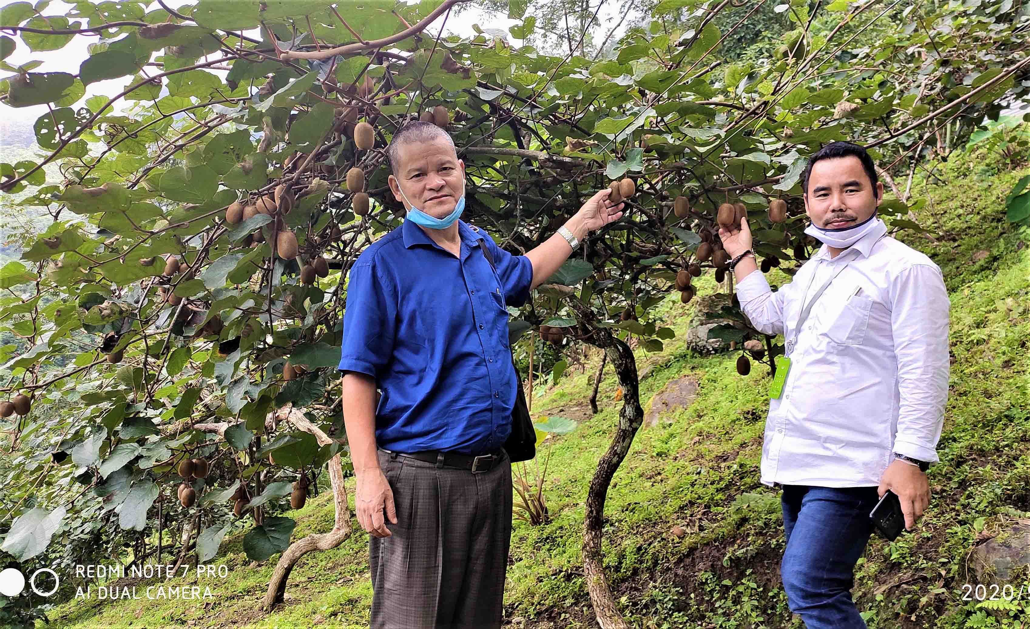 Eastern Sentinel Arunachal News