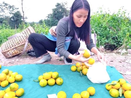 Eastern Sentinel Arunachal News