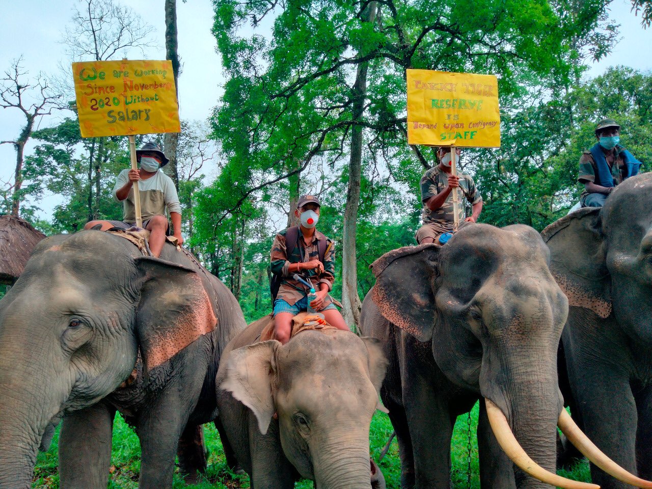 Eastern Sentinel Arunachal News