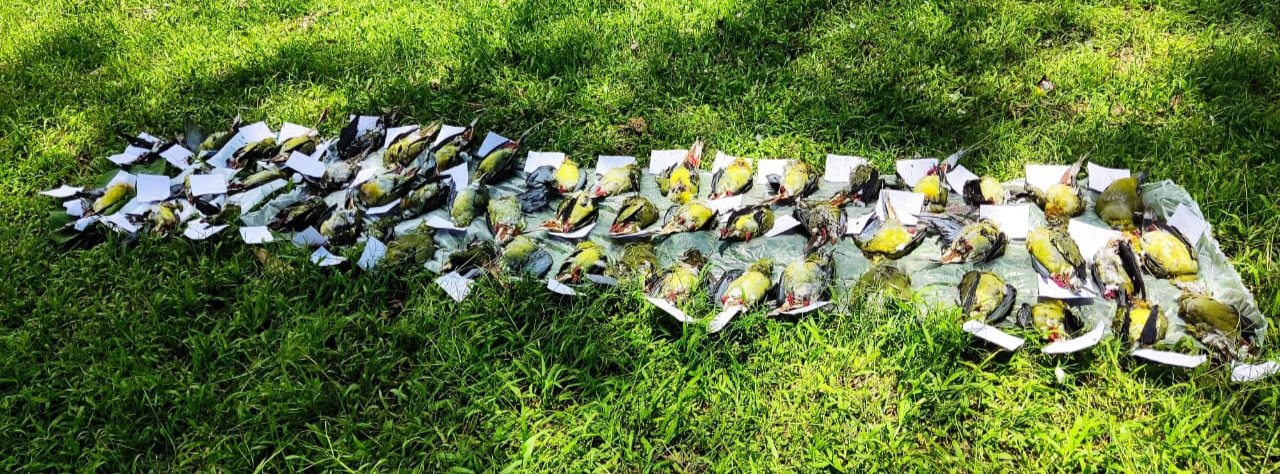 Eastern Sentinel Arunachal News