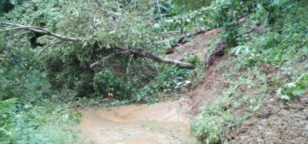 Eastern Sentinel Arunachal News