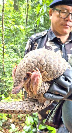 Eastern Sentinel Arunachal News