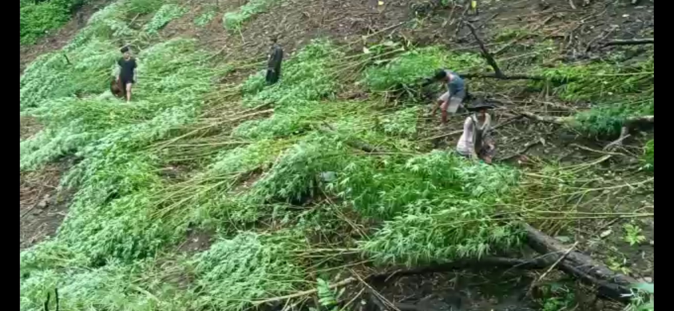 Eastern Sentinel Arunachal News