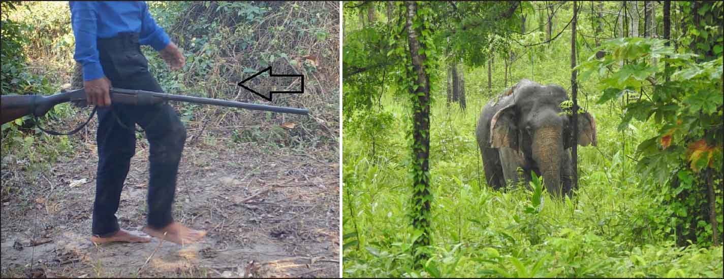 Eastern Sentinel Arunachal News