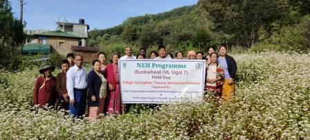 Eastern Sentinel Arunachal News